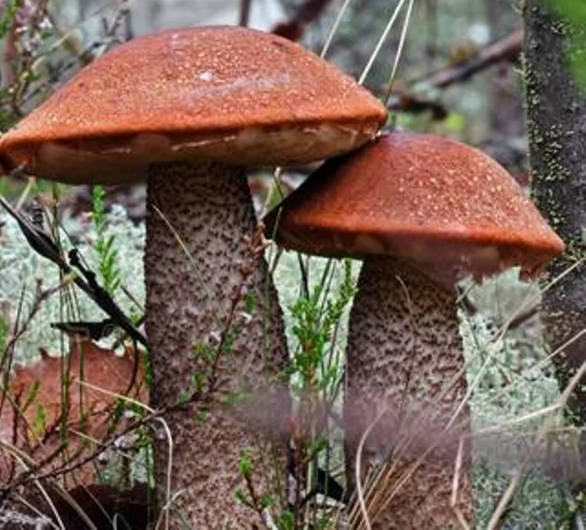 Фото пользователя Олега Путинцева
