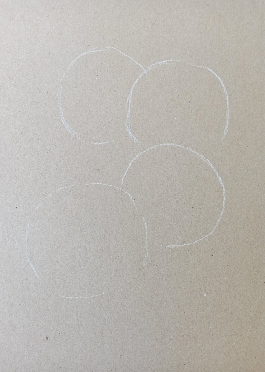 Соцветия Гортензии вписываются в круг.