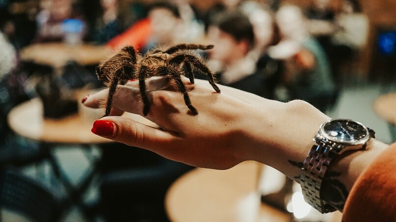 Фото с нашей встречи подписчиков