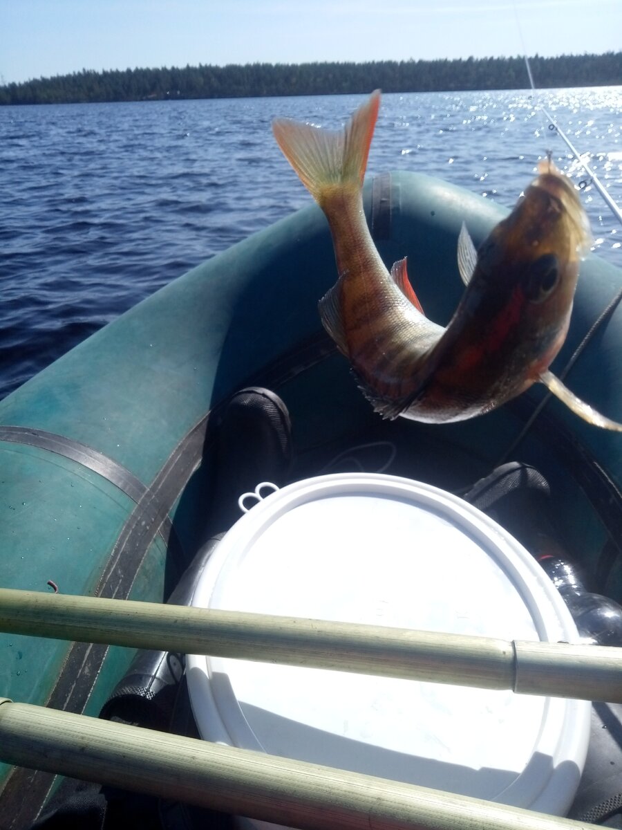 Карелия. Озеро Кереть (фото автора)