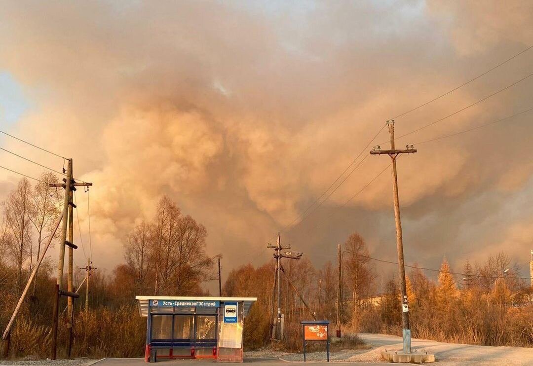 Обычный день в тайге