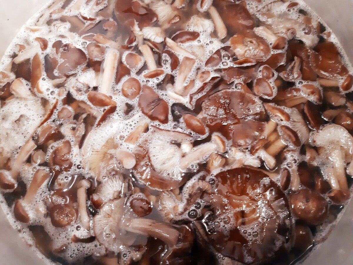 рецепт грибов на зиму с фото