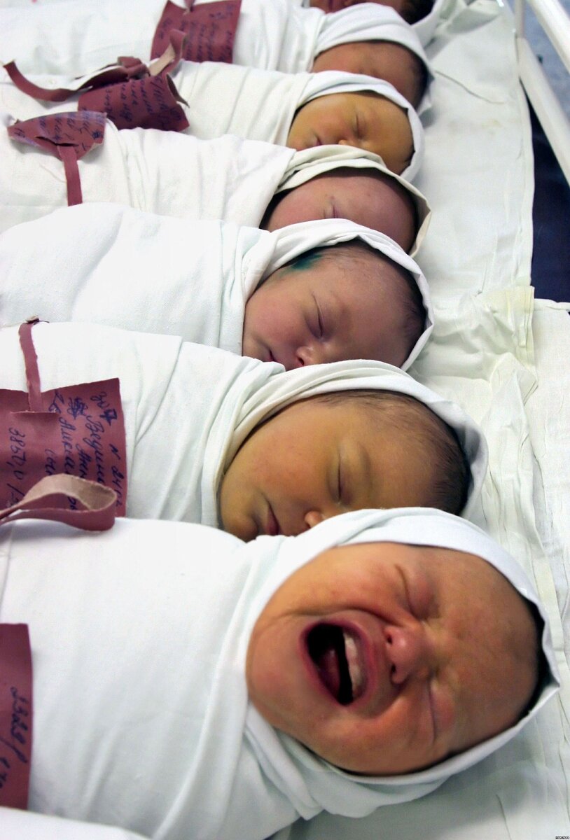 Мой был самый большой и самый голодный😁