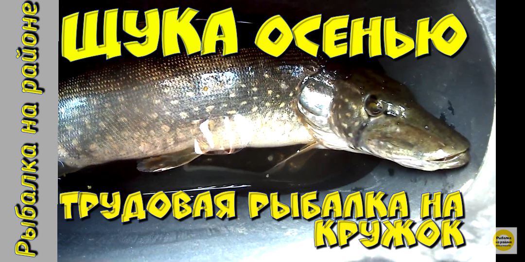 Превью статьи