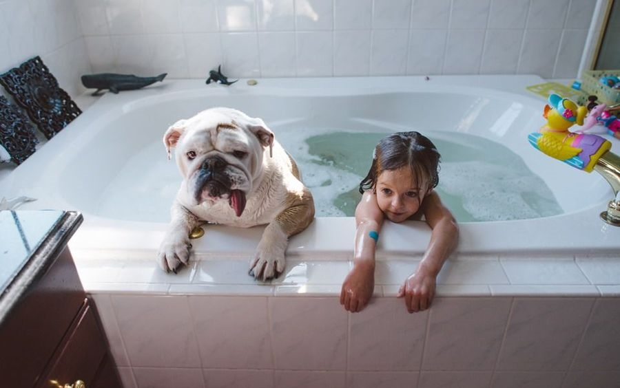 Фото взято из открытых источников 