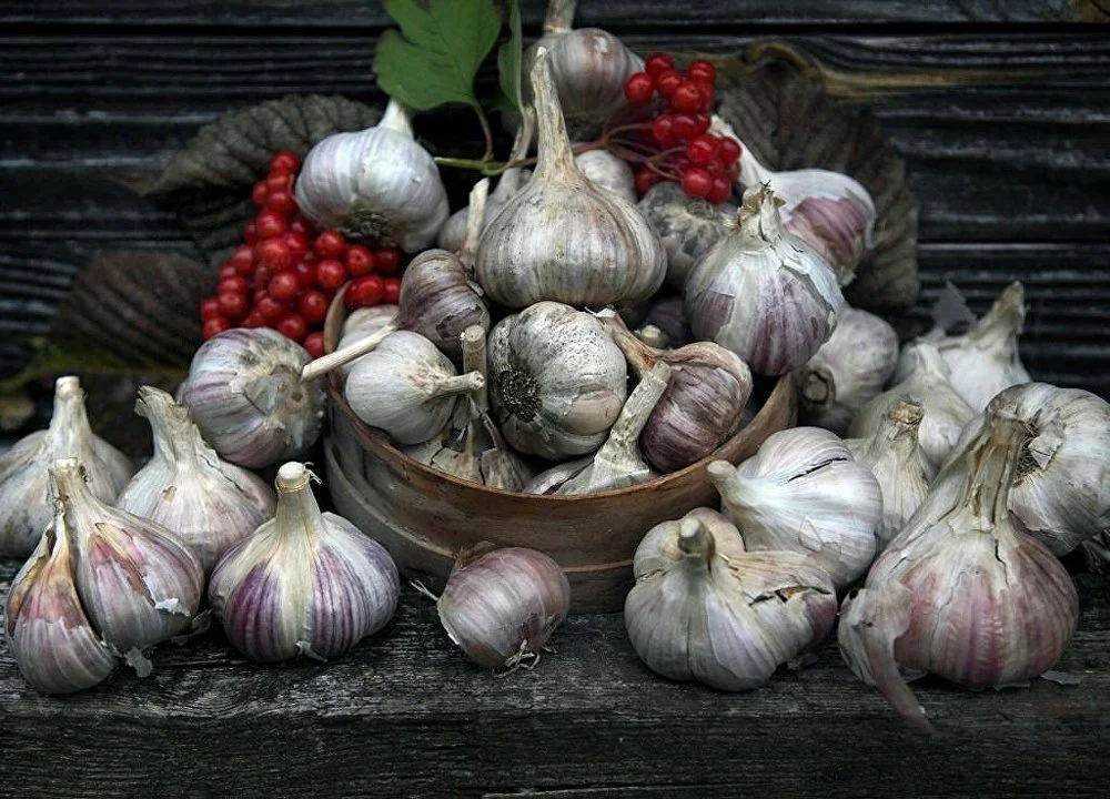 взято из общего доступа Яндекс.картинки