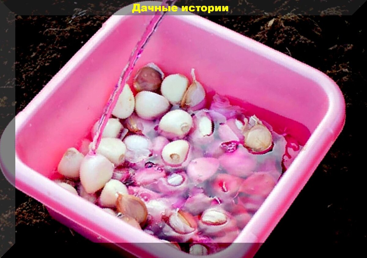 https://vk.com/photo-159774511_457244496
