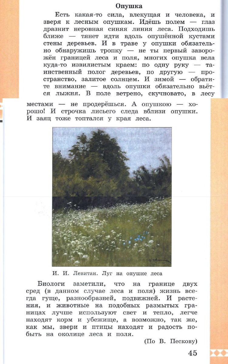 опушка это для детей. лес родной язык 3 класс. загадки про лес 3 класс. какие виды лесов бывают. лес родной язык 3 класс.