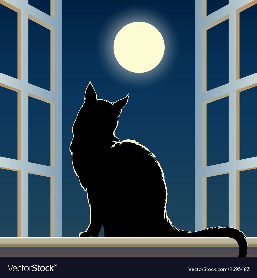 фото с просторов интернета