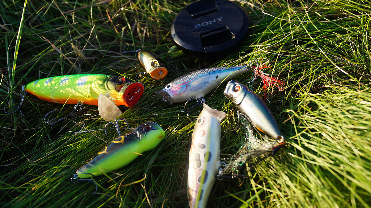 Самое время для рыбалки на попперы.  