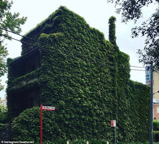 Вот уже действительно — дом из «зеленой сказки»
