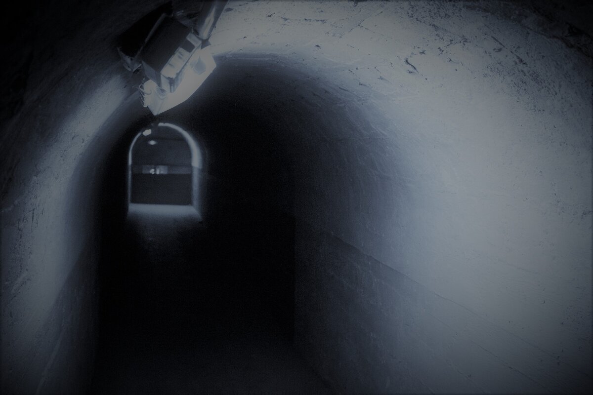 Image by Tomáš Novák from Pixabay 