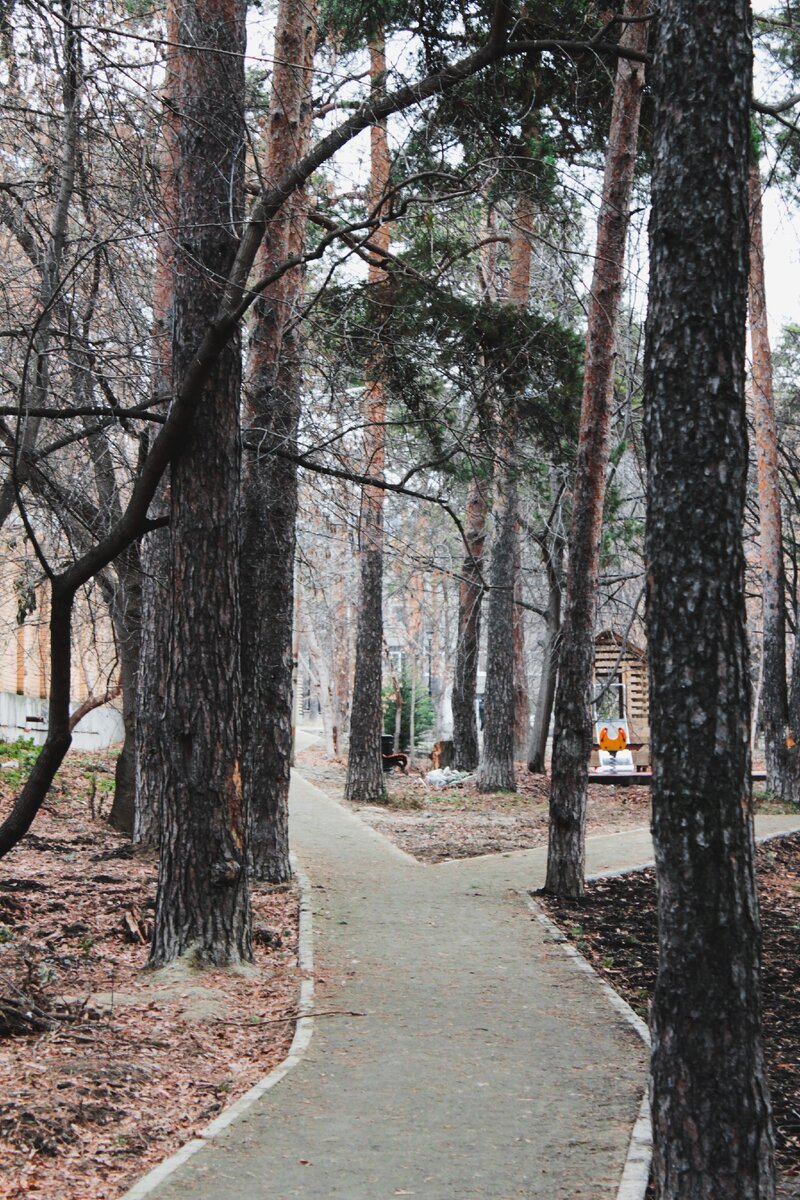 Прямые  углы и неаккуратные тропинки