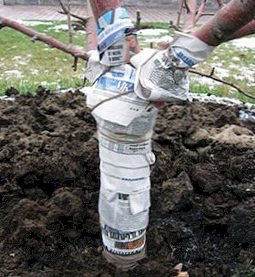 Газет жалеть не нужно. Родентицида тоже.