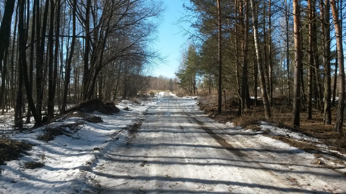 В какое время лучше всего покупать участок и почему? Несколько простых правил