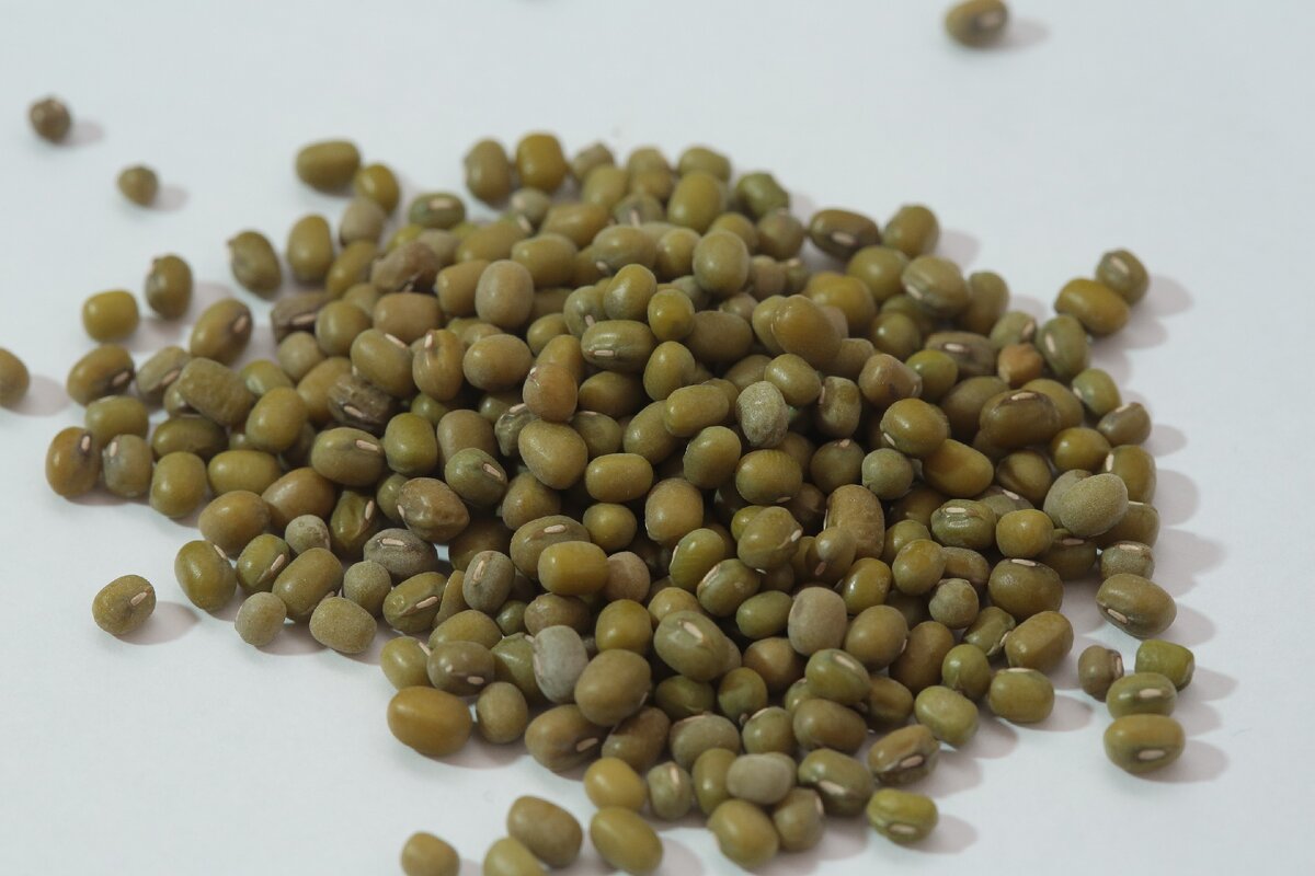 обычный маш в законсервированном состоянии.