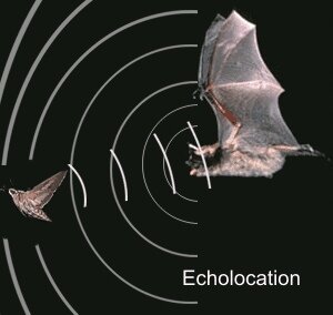 Автор: https://yandex.ru