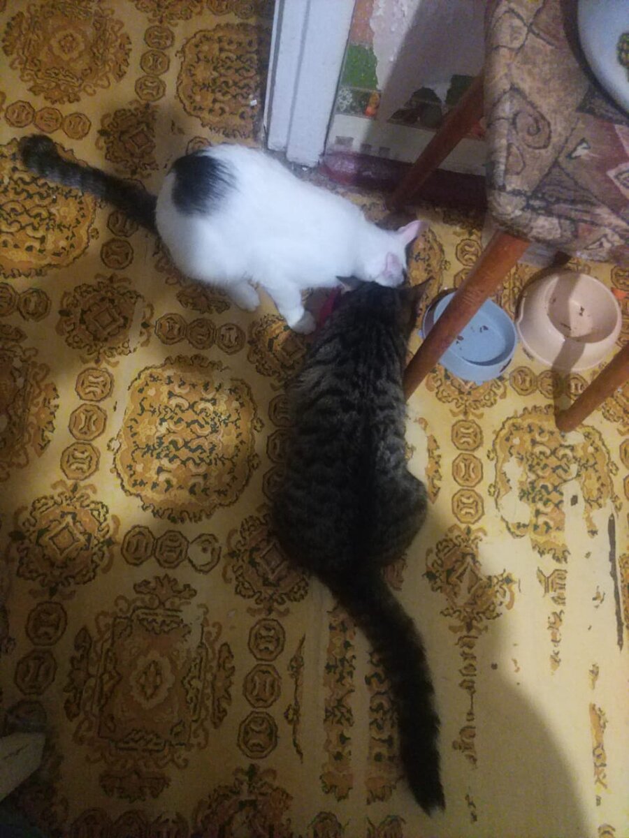 А что у тебя вкусненького.... 