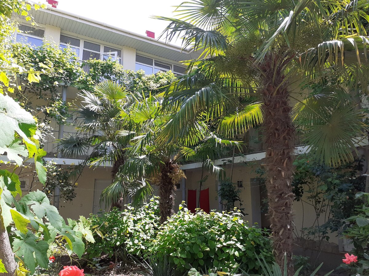 Гостевой дом г. Алушка .  Стоимость  58 000 000 рублей. Вид центрального двора.