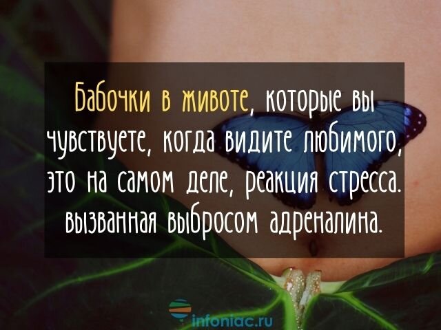 Жизнь в груди: 13 фактов о сердце. А вы их знали?