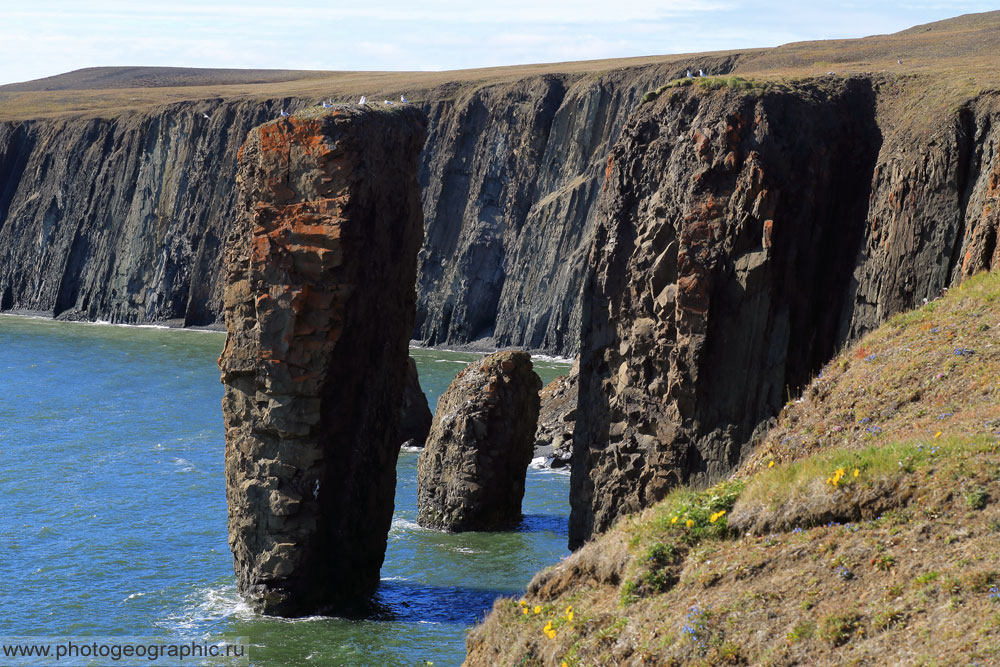 Мурманск побережье баренцева моря. Остров спафарьева острова магаданской области. Берег северной шотландии. Мыс на таймыре. Северное море голландия.