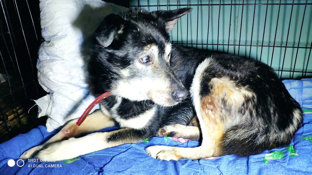 Сидит, глаз с нее не сводит. 