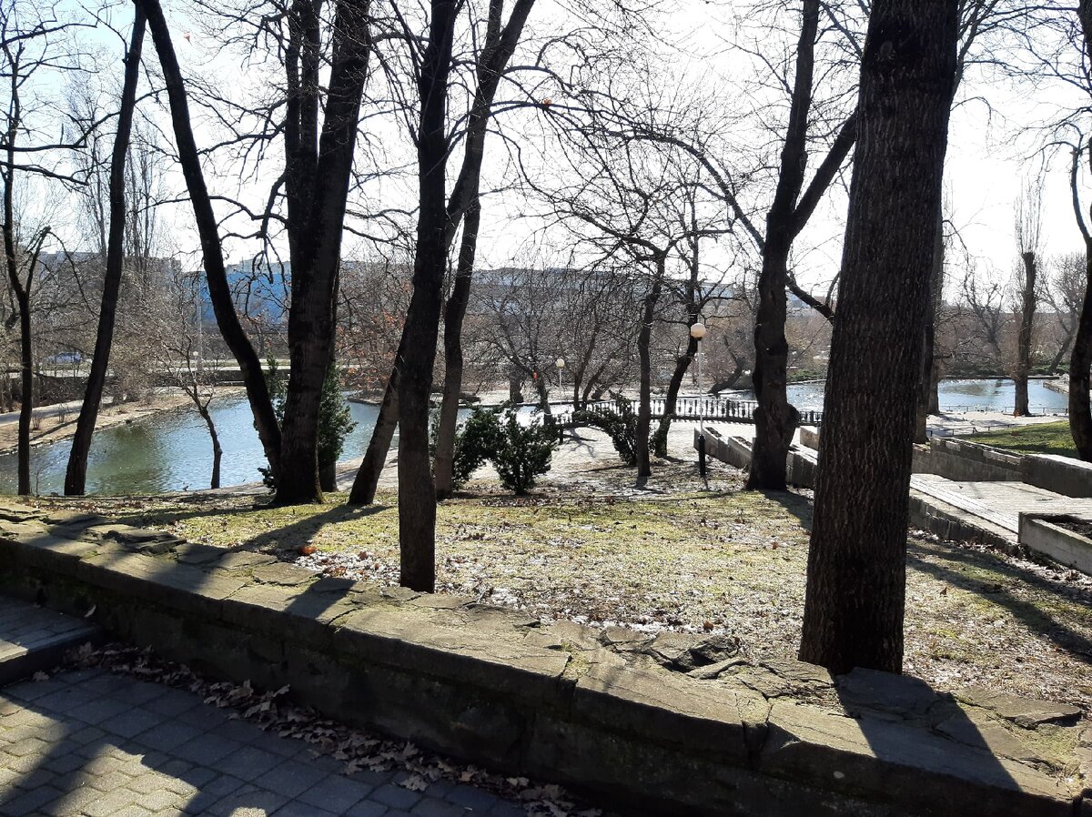 Вид на озеро в Городском Саду. Фото сделано 12.02.21. 