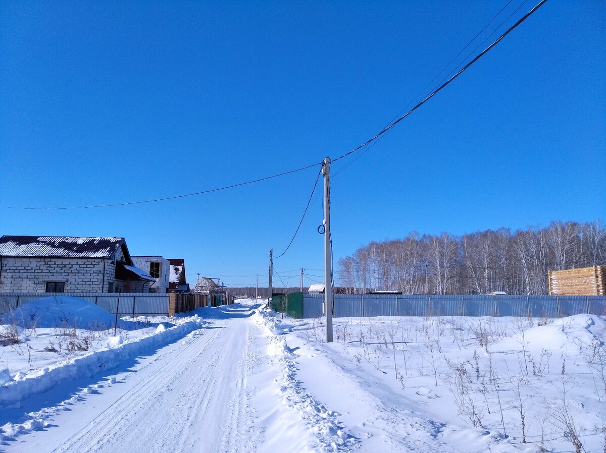 После вьюги всегда солнце. Фото автора