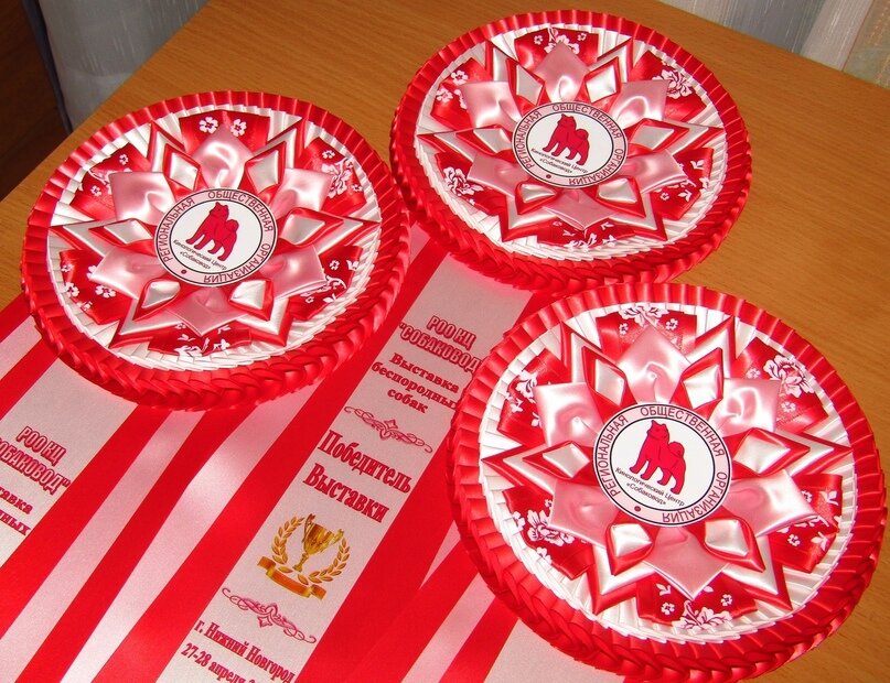 Наградные розетки мастерской Damaty для победителей беспородной выставки прошедшей 05.05.2019г в гДзержинске, организованной КЦ СОБАКОВОД