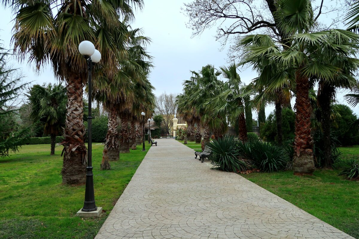 Большая пальмовая аллея