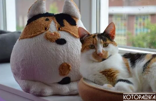 Источник: reddit.com