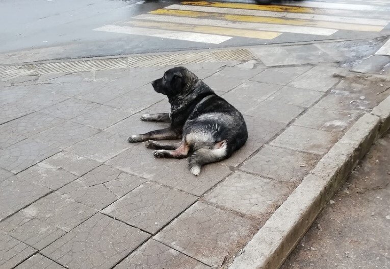 Такая картина по всему городу