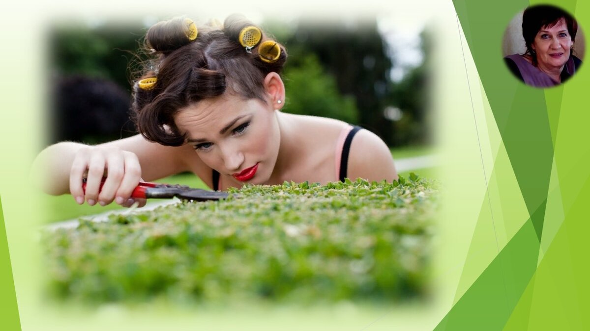 ПОДПИШИТЕСЬ на канал, КОММЕНТИРУЙТЕ, ДЕЛИТЕСЬ с друзьями, оставьте ОТКЛИК!