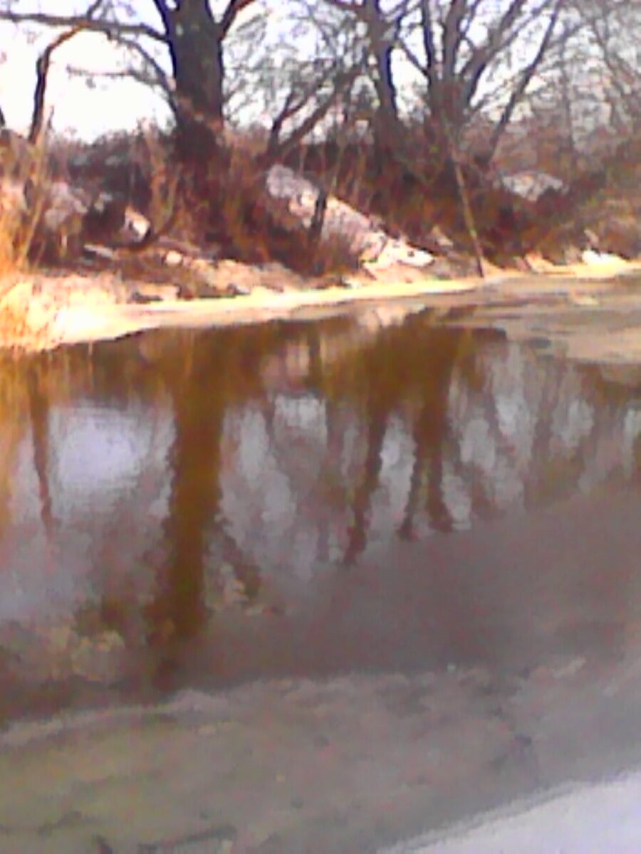 Река Токайка. Пробуждение. Первая полынья.