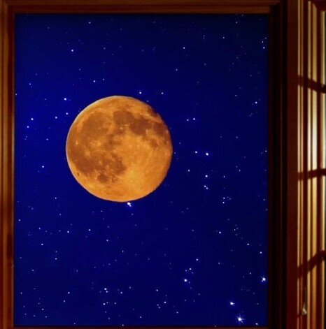 (Фото из интернета)