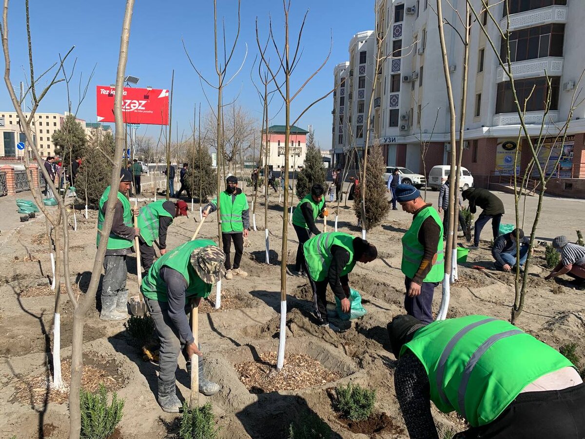 Служба благоустройства горда Бухары