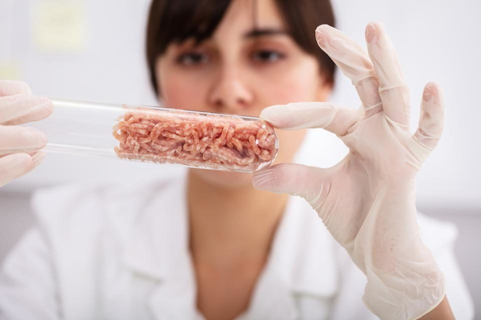 Кто и зачем навязывает индустрию искусственного мяса?