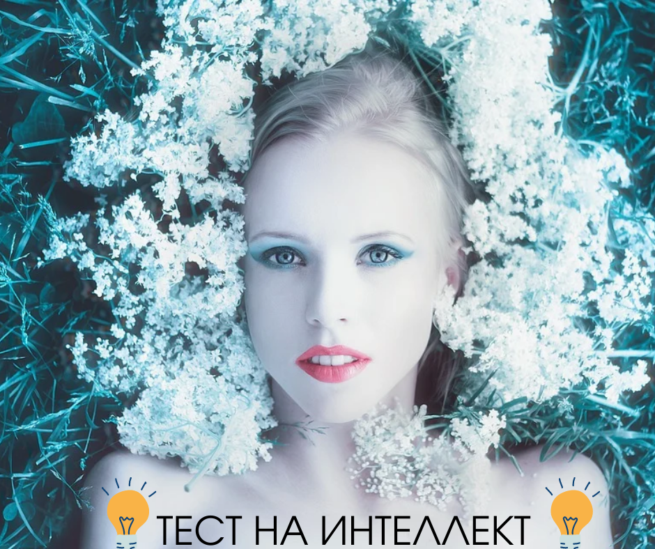 Все иллюстрации к тесту созданы автором, источник изображений pixabay.com