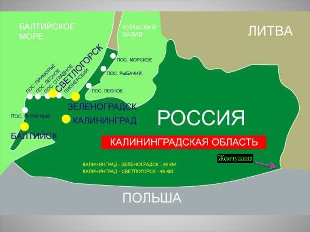 Г калининград область. Калининградская область на карте. Калининградская областьтнамкарие. Калининградская область н акаррет. География Калининградской области.