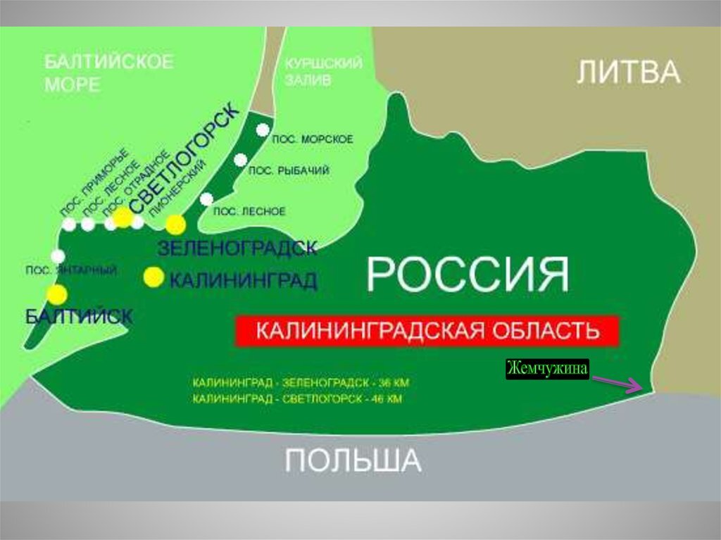 Янтарный западный регион. Калининград на карте с кем граничит. Зеленоградск Калининградской области на карте России. Калининградская область на карте. Калининградская областьтнамкарие.