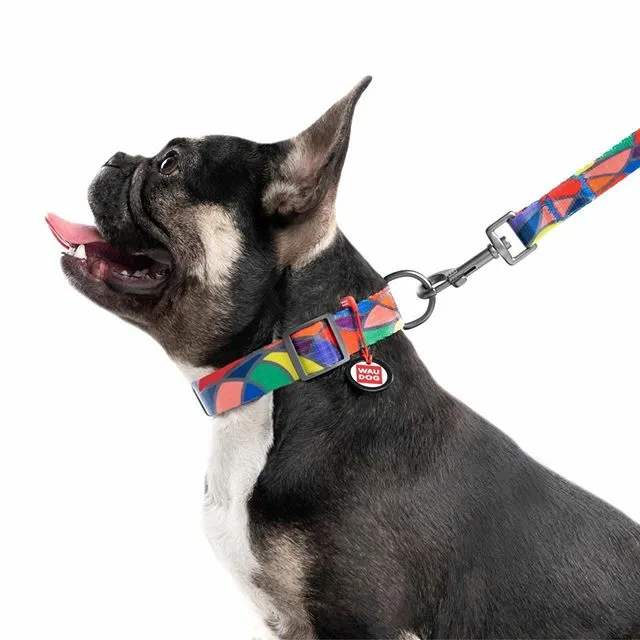 Источник изображения https://ru.waudog.com/