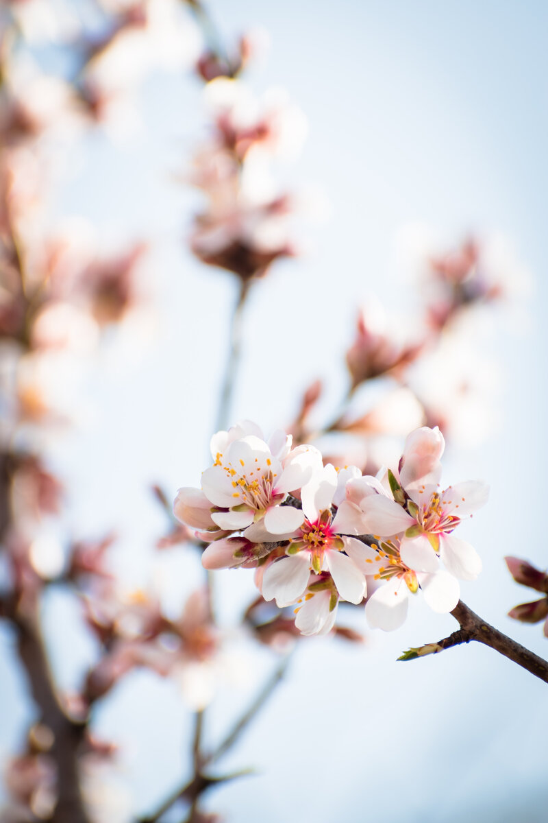  Photo by Nikolett Emmert from Pexels
