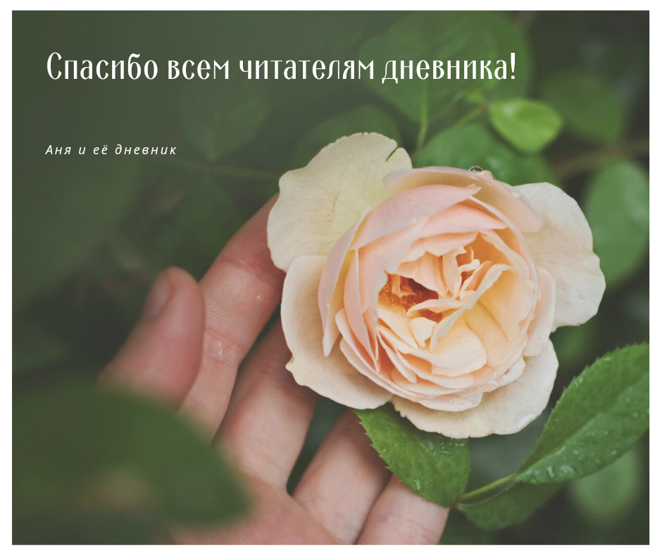 Фото из свободных источников