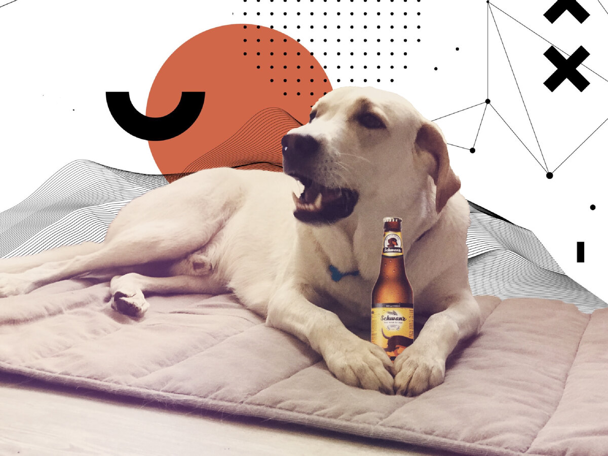 Изображения для иллюстрации взяты из сети Интернет