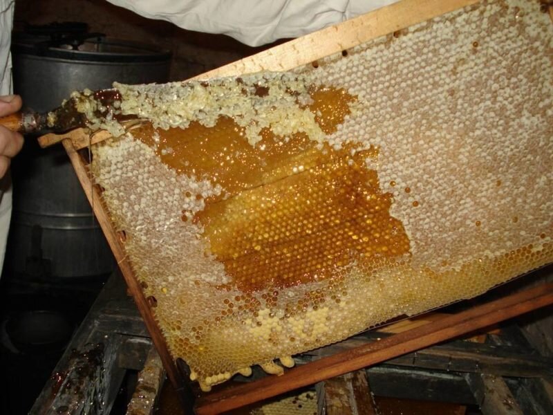 Откачивание меда. Иллюстрация для статьи используется с сайта kartoska.ru