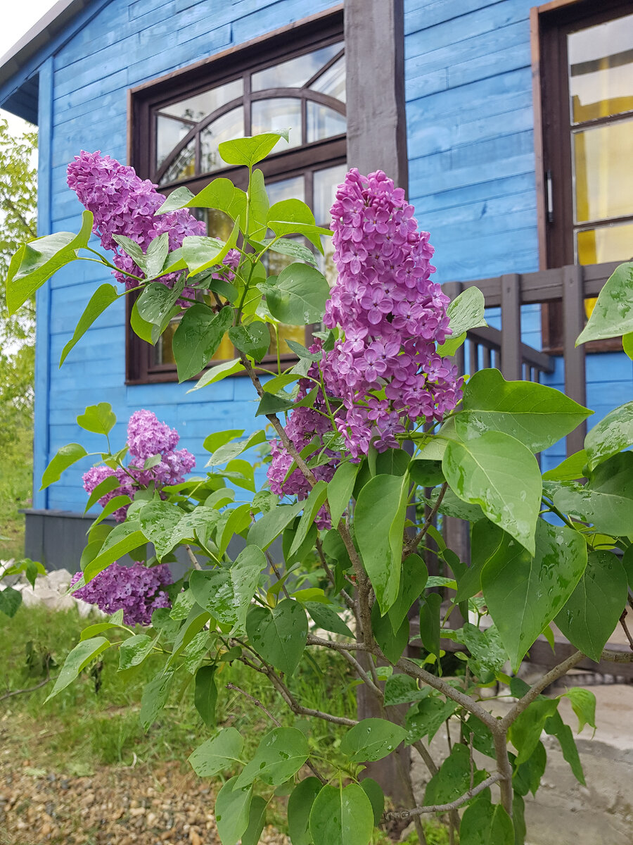 Фасад нашего каркасного дома