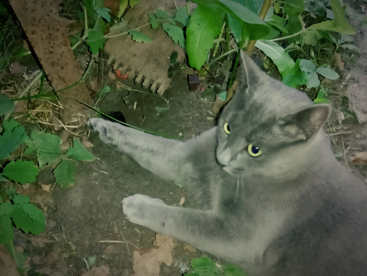 Пустяки, дело-то житейское