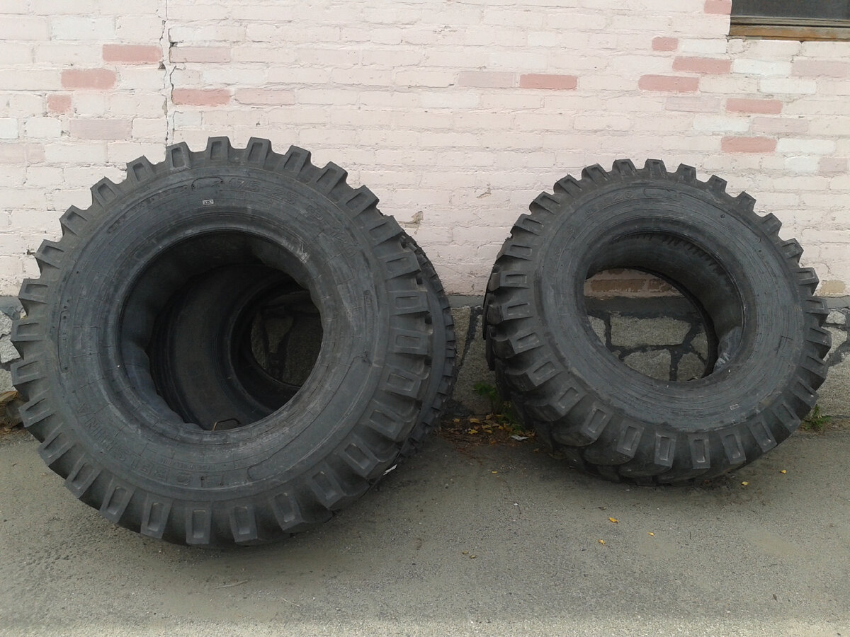 Красавицы шины (фото автора)