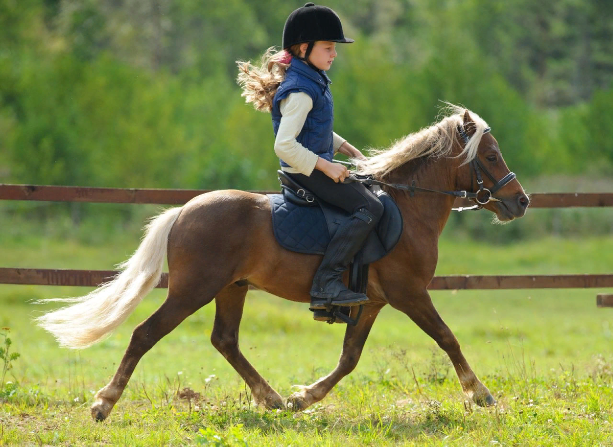 Фото из свободного источника