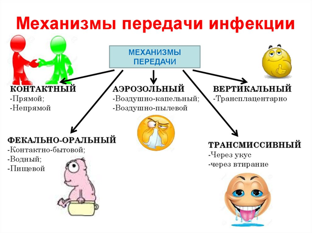 Подраздел 3.1: Новые препараты и вакцины